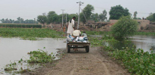 India: Life Pack Distribution in India